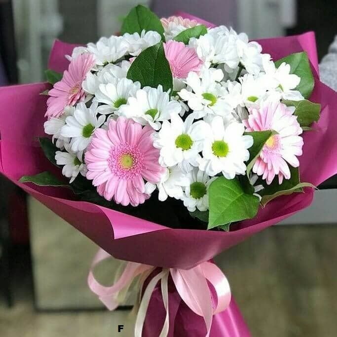 Новый день от 4 600 руб.